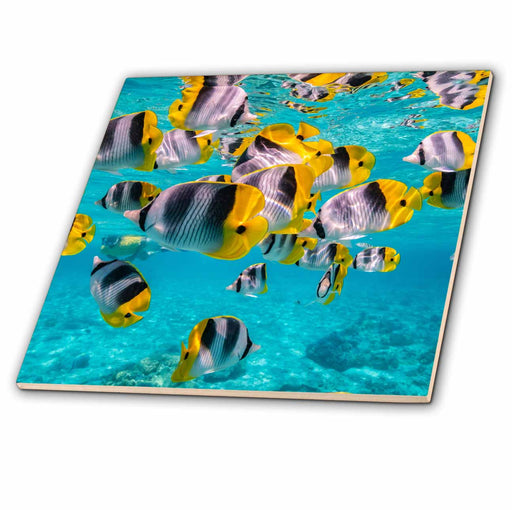 image of 4 Inch Ceramic Tile
