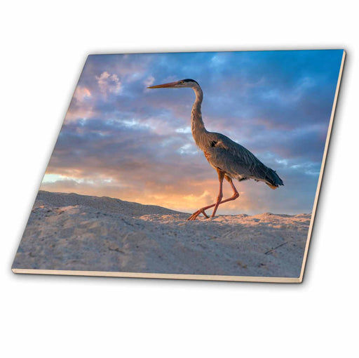 image of 4 Inch Ceramic Tile