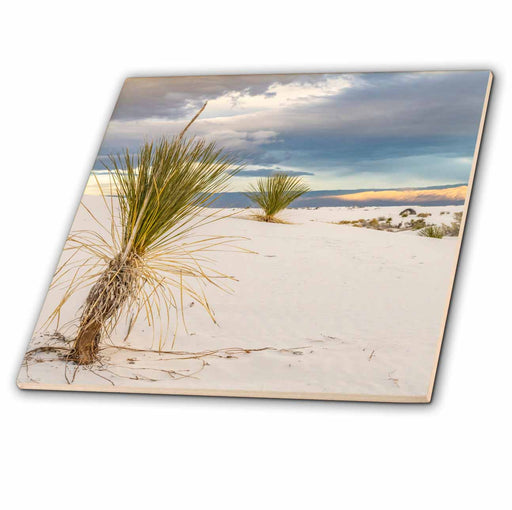 image of 4 Inch Ceramic Tile