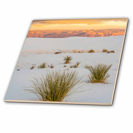 image of 4 Inch Ceramic Tile