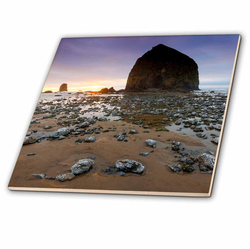 image of 4 Inch Ceramic Tile