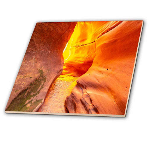 image of 4 Inch Ceramic Tile