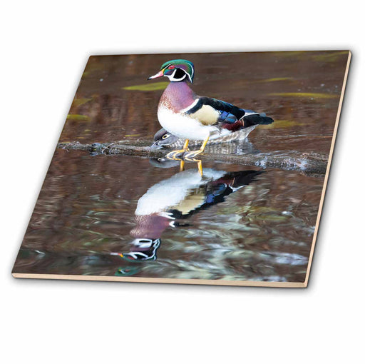 image of 4 Inch Ceramic Tile