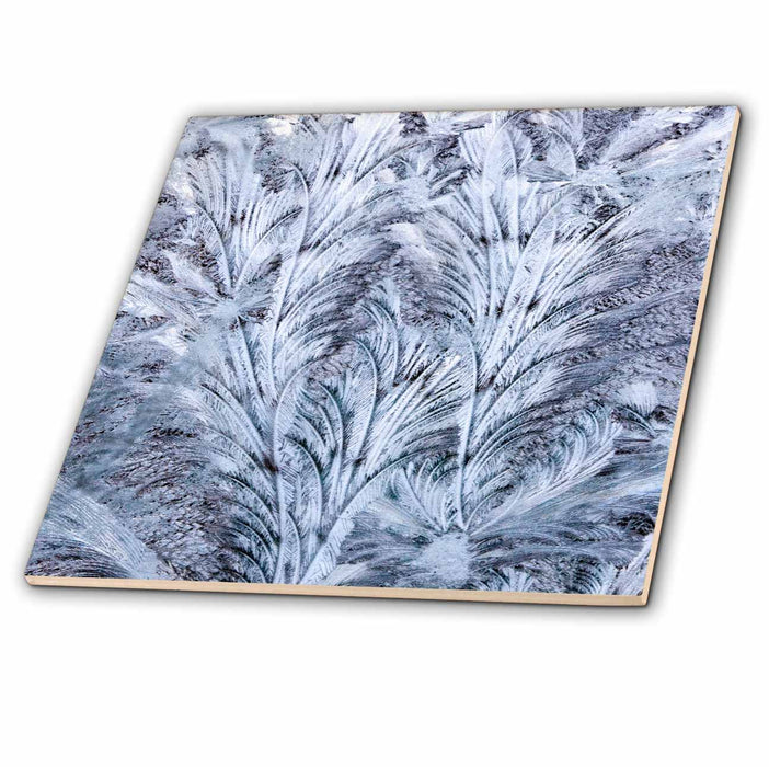 image of 12 Inch Glass Tile