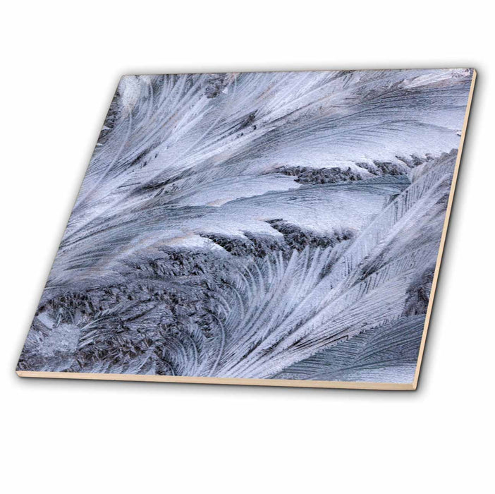 image of 12 Inch Ceramic Tile