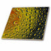 image of 12 Inch Glass Tile