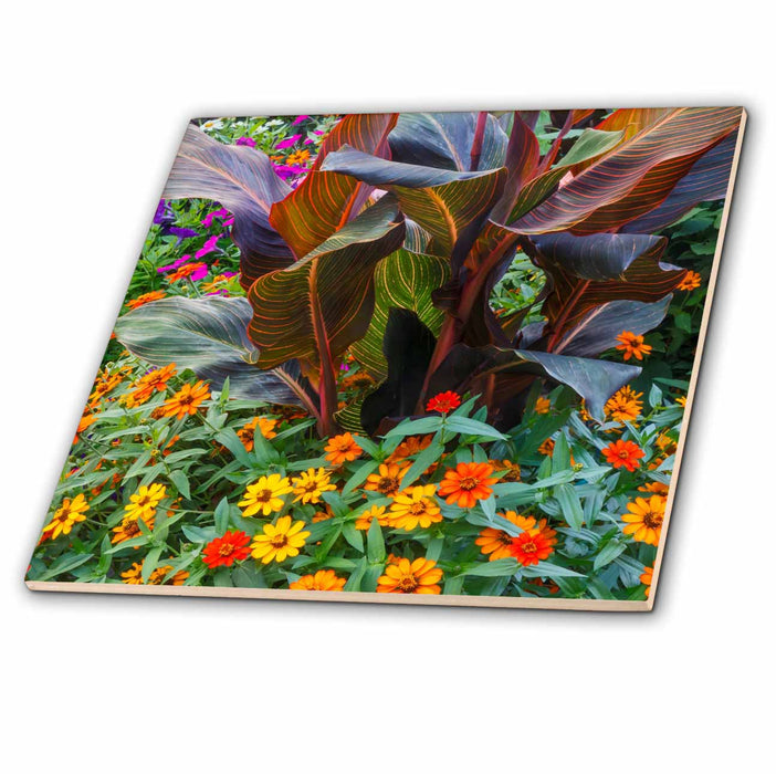 image of 6 Inch Ceramic Tile