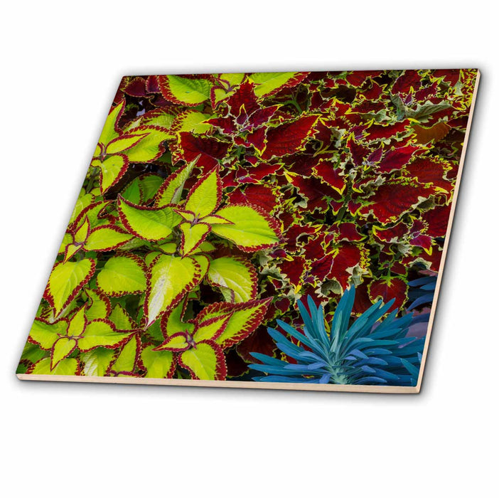 image of 4 Inch Glass Tile