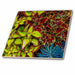 image of 4 Inch Glass Tile