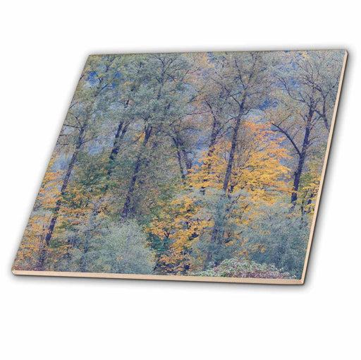 image of 4 Inch Ceramic Tile