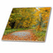 image of 8 Inch Ceramic Tile