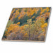 image of 8 Inch Ceramic Tile