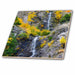 image of 8 Inch Ceramic Tile