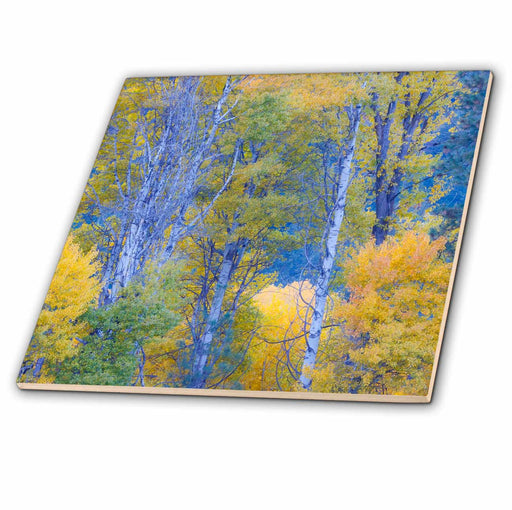 image of 4 Inch Ceramic Tile