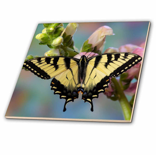 image of 4 Inch Ceramic Tile