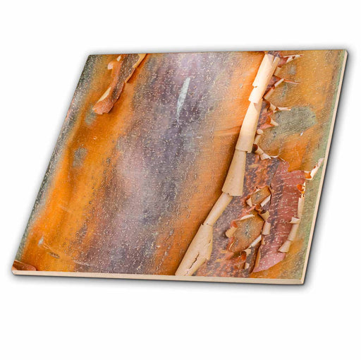 image of 4 Inch Ceramic Tile