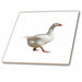 image of 8 Inch Ceramic Tile