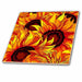 image of 12 Inch Glass Tile