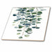 image of 6 Inch Ceramic Tile