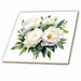 image of 8 Inch Ceramic Tile