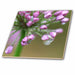 image of 8 Inch Ceramic Tile