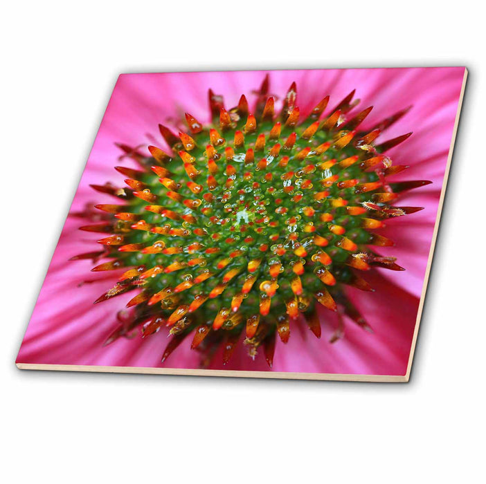 image of 8 Inch Glass Tile