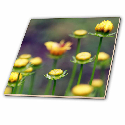 image of 4 Inch Ceramic Tile