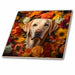 image of 8 Inch Ceramic Tile