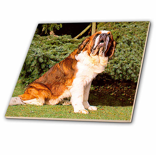 image of 4 Inch Ceramic Tile