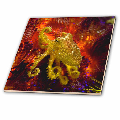 image of 4 Inch Ceramic Tile