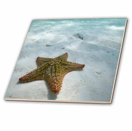 image of 4 Inch Ceramic Tile