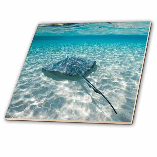 image of 4 Inch Ceramic Tile