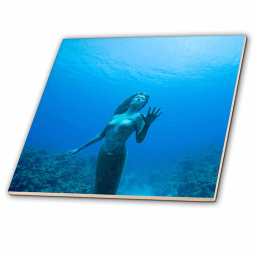 image of 4 Inch Ceramic Tile