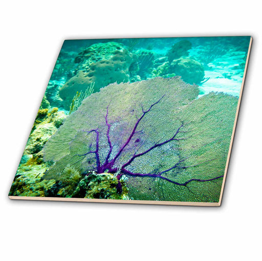 image of 4 Inch Ceramic Tile