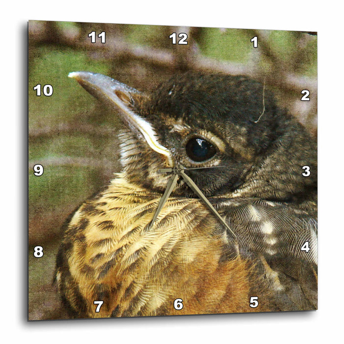 image of 13x13 Wall Clock