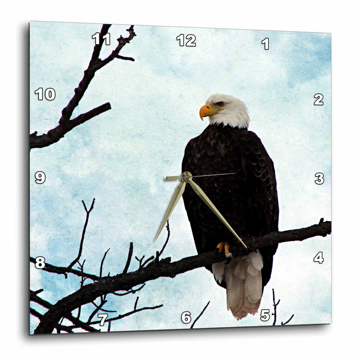 image of 15x15 Wall Clock