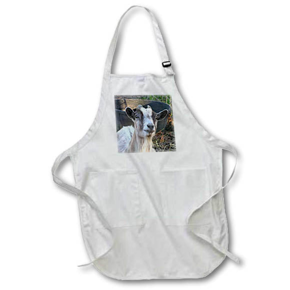 image of Full Length Apron with Pockets 22w x 30l