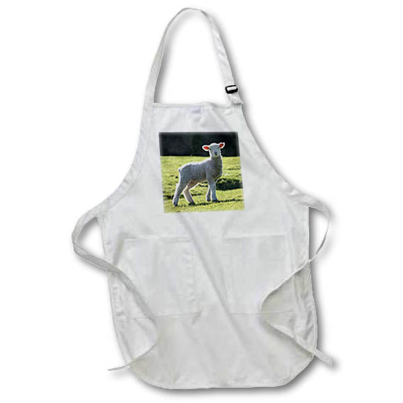 image of Full Length Apron with Pockets 22w x 30l