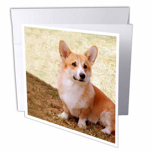 image of 6 Greeting Cards with envelopes