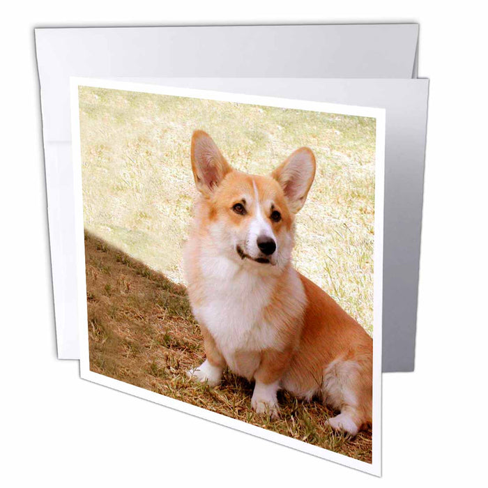 image of 12 Greeting Cards with envelopes