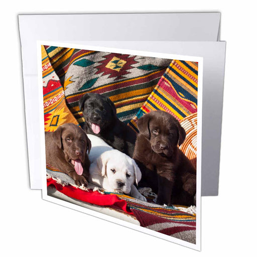 image of 6 Greeting Cards with envelopes