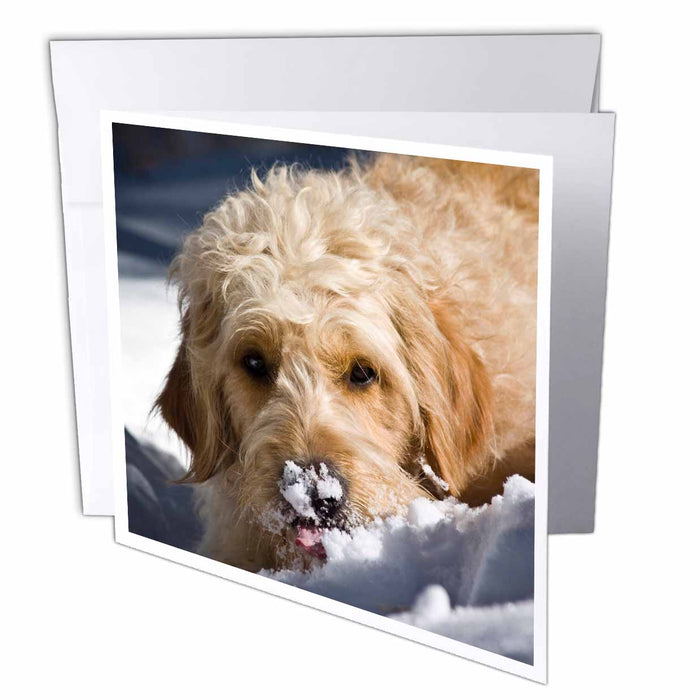 image of 6 Greeting Cards with envelopes