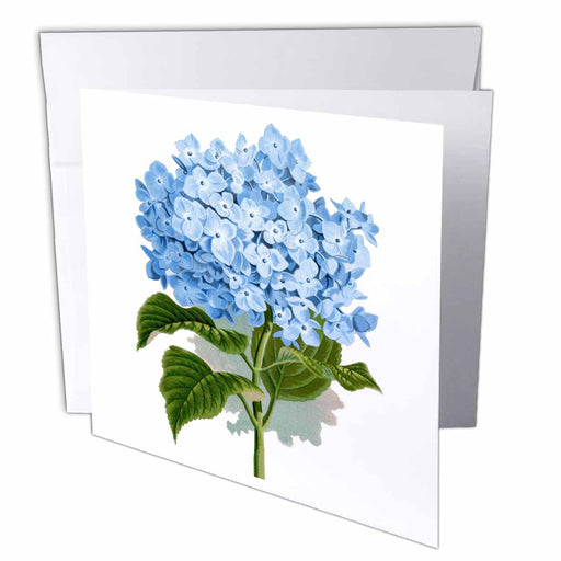 image of 6 Greeting Cards with envelopes