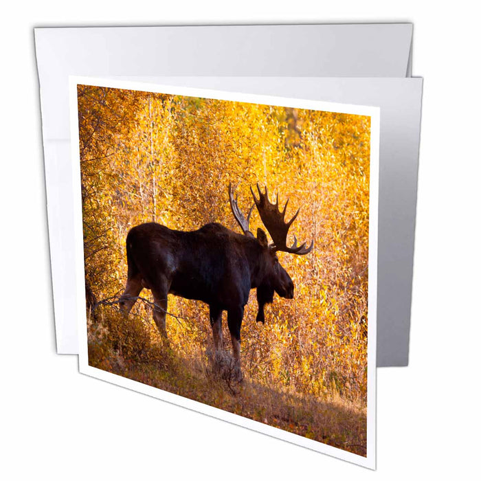 image of 1 Greeting Card with envelope