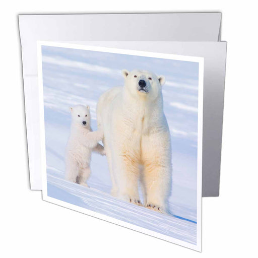 image of 6 Greeting Cards with envelopes