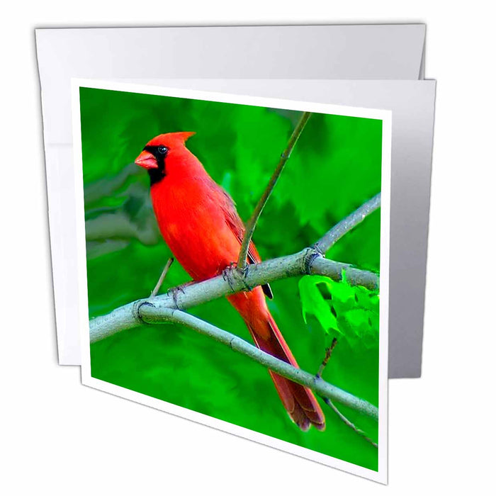 image of 6 Greeting Cards with envelopes