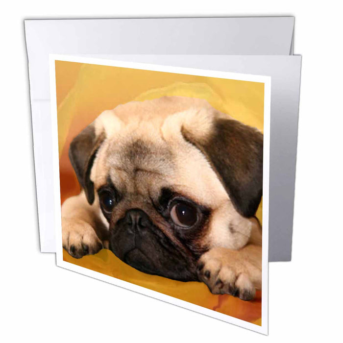 image of 6 Greeting Cards with envelopes