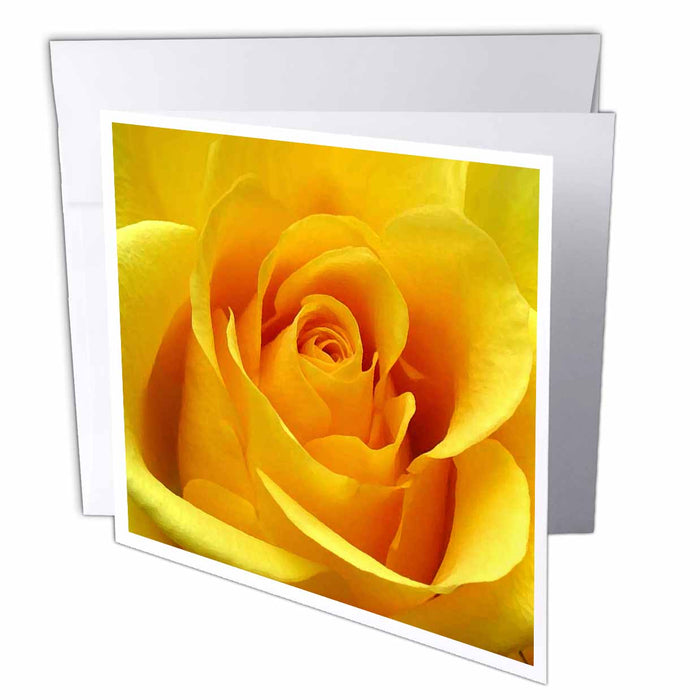 image of 6 Greeting Cards with envelopes