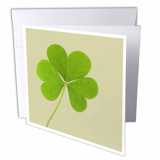 image of 6 Greeting Cards with envelopes