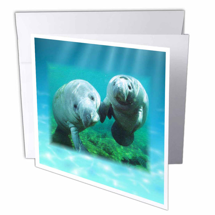 image of 6 Greeting Cards with envelopes